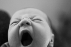 Small baby, yawning.